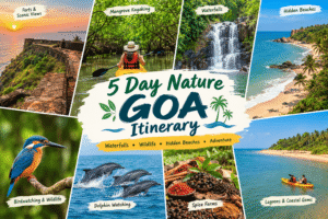 5 Day Nature Goa Itinerary: Waterfalls, Wildlife, Hidden Beaches & Adventure